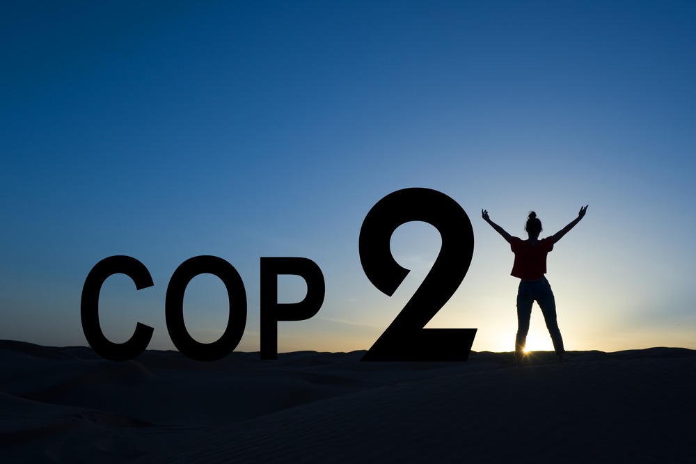 Change Paris. Cop 21. 21 means