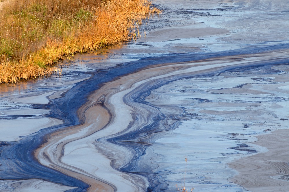water pollution wetlands