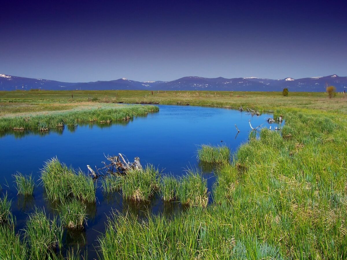 waters of the united states