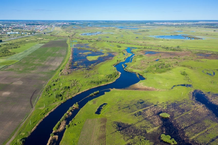 WOTUS EPA Army Corps of Engineers DOD