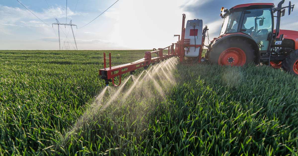 Tractor spraying wheat in field