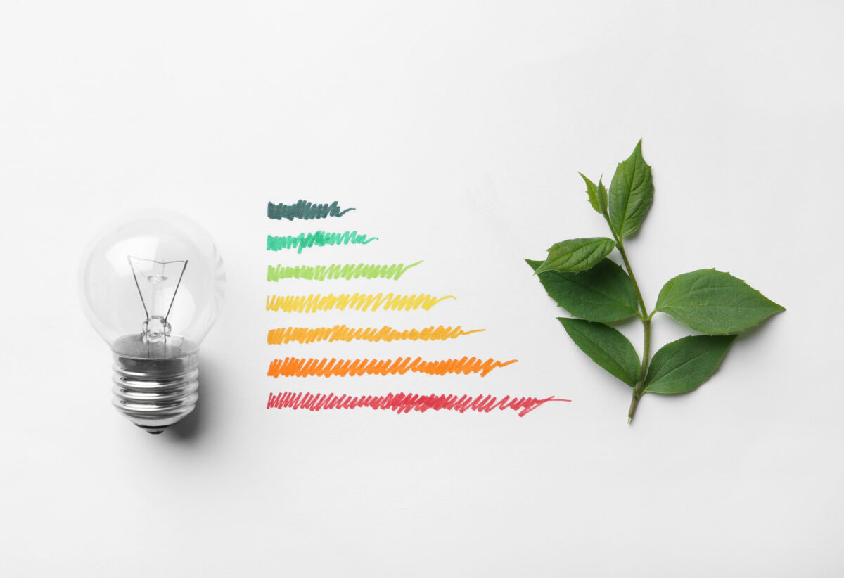 Flat lay composition with colorful bars, light bulb and leaves o